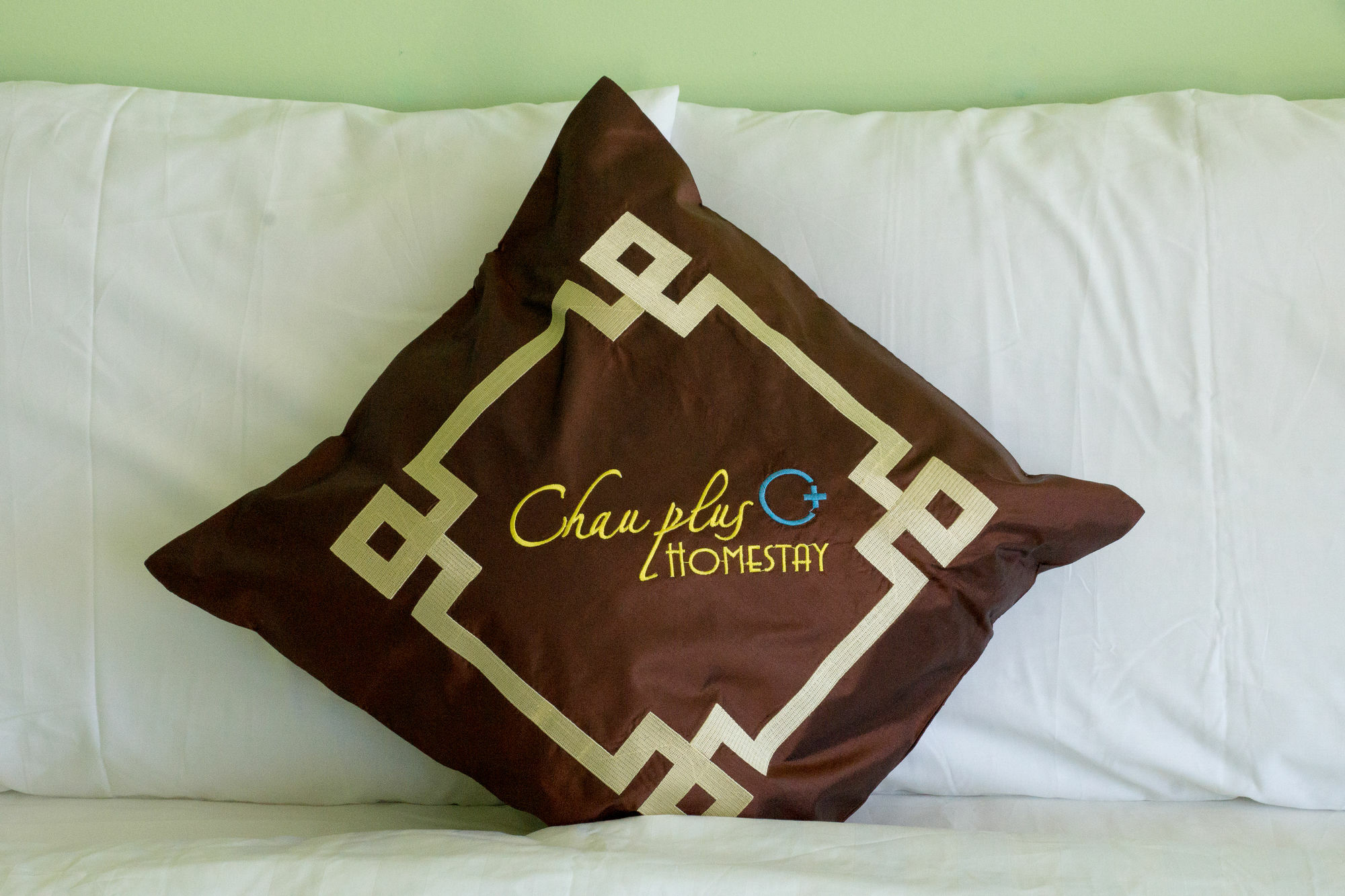 Chau Plus Homestay Hội An Buitenkant foto